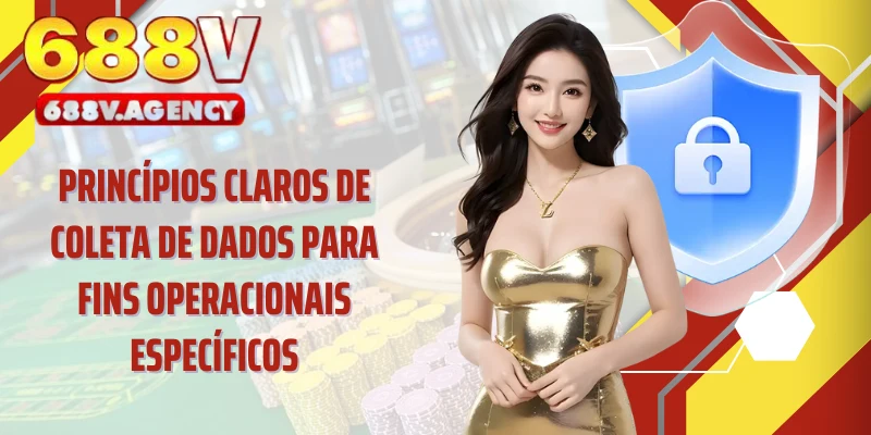 Princípios claros de coleta de dados para fins operacionais específicos